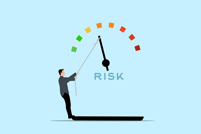 Risk Management and Mitigation